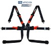 RRS 6 Point FIA 8853-2016 2” HANS® Harness